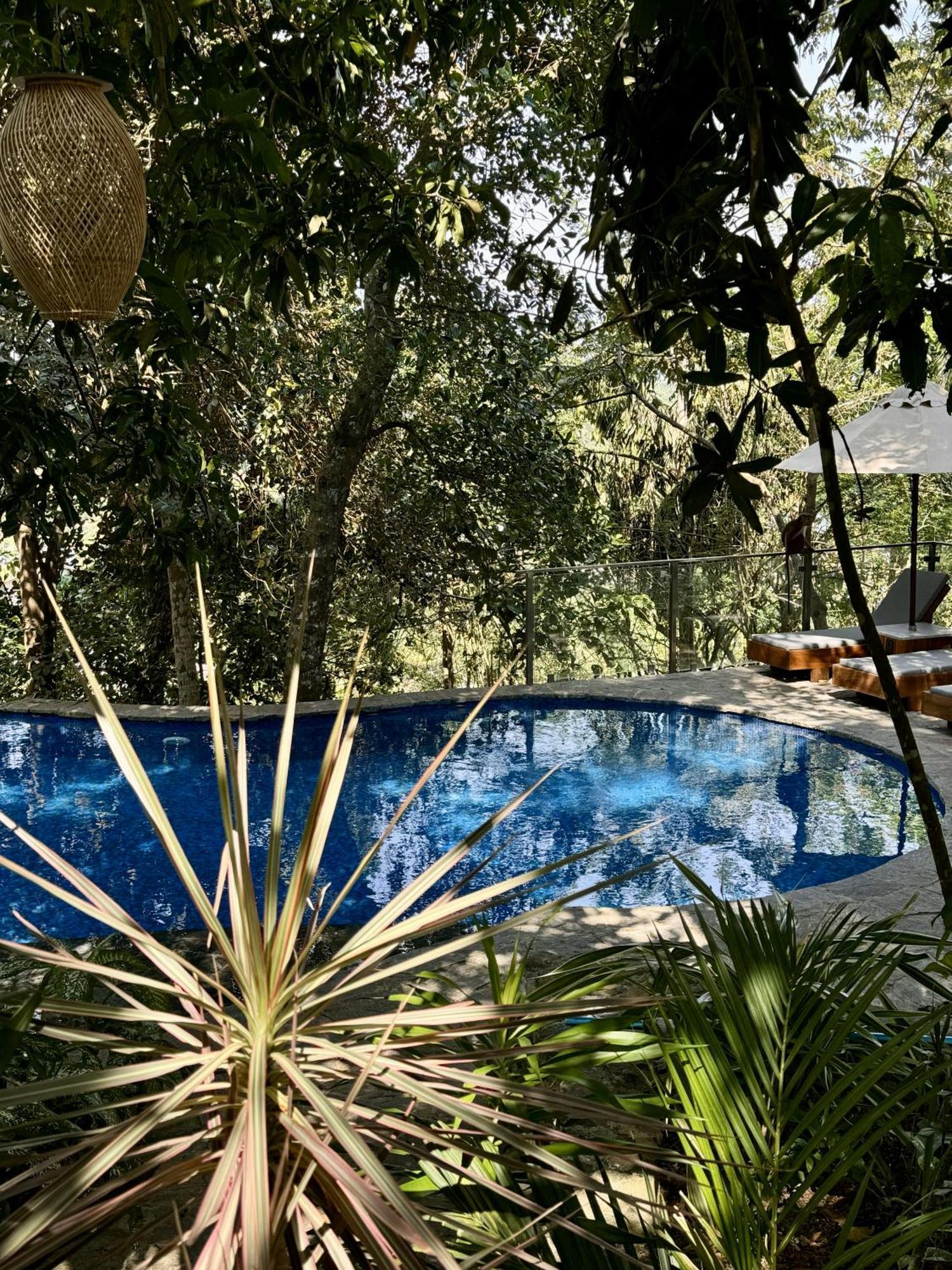 Coastline Mirissa Boutique Hotel And Spa 외부 사진