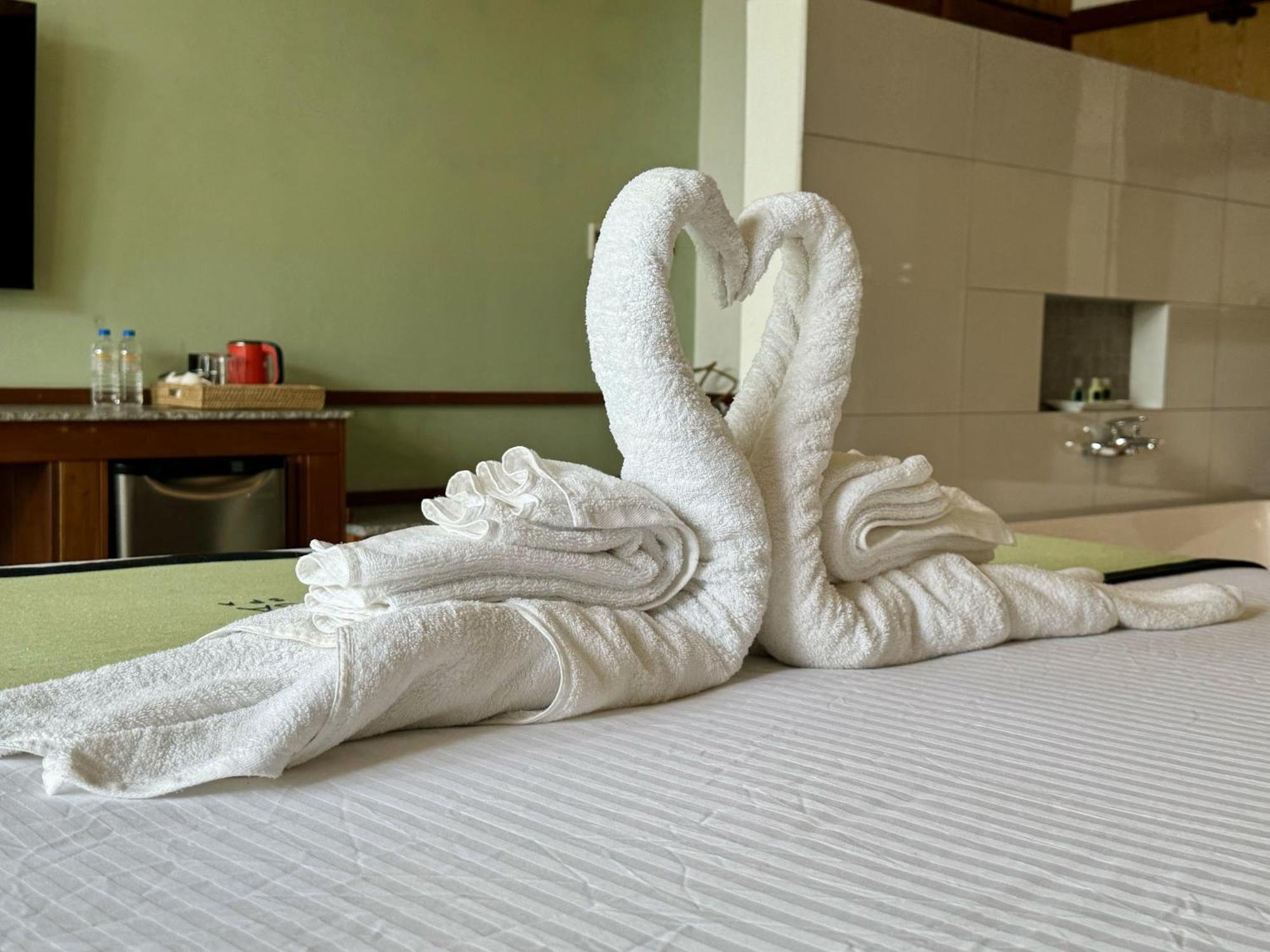 Coastline Mirissa Boutique Hotel And Spa 객실 사진